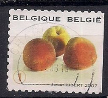 BELGIQUE   ANNEE  2007     OBLITERE - Usados