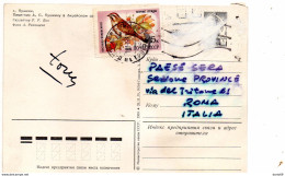 LETTERA - Storia Postale