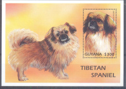 GUYANA   (FKH033) XC - Chiens