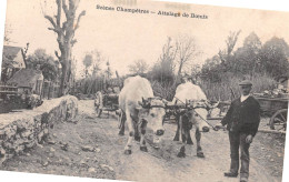 ARDON (Ain) Par Valserhône - Scènes Champêtres - Attelage De Boeufs - Edit. Michaux, Bellegarde - Unclassified