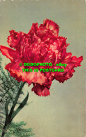 R517178 Red Flowers. Kruger. Postcard - Monde