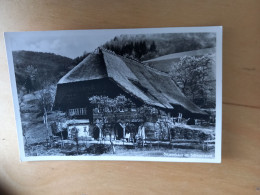 Schwarzwald - Bauernhaus - St. Blasien