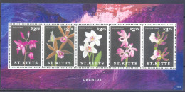 SINT KITTS  (ORC017) XC - Orchideen