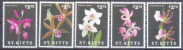 SINT KITTS  (ORC018) XC - Orchideeën