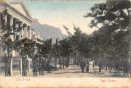 CPA / AFRIQUE DU SUD / CAPE TOWN / THE AVENUE - Zuid-Afrika