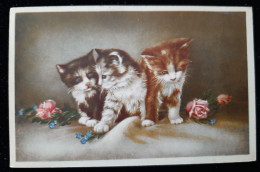 CHATS - Trois  Chatons / Fleurs - Collection CHARME N°819 - Gatti