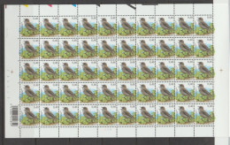 Belgium 2005 Birds Grey Flycatcher € 0.40 Full Sheet Plate 1 MNH ** - 2001-2010