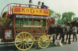 Hammersmith Turnham Green Kodak Camera Coach London Zoo Postcard - Sonstige & Ohne Zuordnung