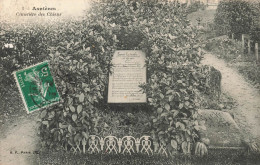 FRANCE - Asnières - Vue Sur Le Cimetière Des Chiens - Vue Générale - Carte Postale Ancienne - Asnieres Sur Seine