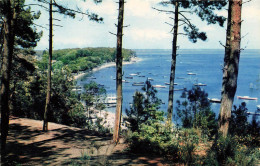 FRANCE - Bassin D'Arcachon - Vue Sur La Pointe Aux Chevaux - Grand Piquey - La Mer - Bateaux - Carte Postale Ancienne - Arcachon