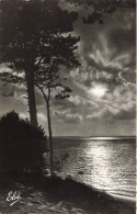 FRANCE - Bassin D'Arcachon - Vue Sur Le Coucher De Soleil Sur Le Bassin - La Mer - Carte Postale Ancienne - Arcachon