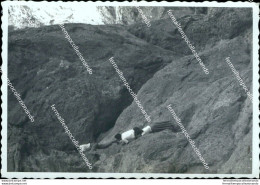 Az675  Foto Privata Equi Terme Frazione Di  Di Fivizzano  1954 Massa Carrara - Massa