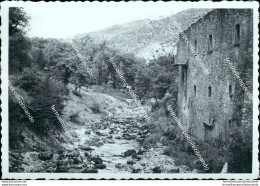 Az679  Foto Privata Equi Terme Frazione Di  Di Fivizzano  1954 Massa Carrara - Massa