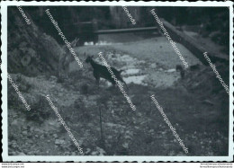 Az686  Foto Privata Equi Terme Frazione Di  Di Fivizzano  1954 Massa Carrara - Massa