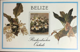 Belize 1987 Reichenbachia Orchids Flowers Minisheet MNH - Orchids