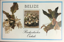 Belize 1987 Reichenbachia Orchids Flowers Minisheet MNH - Orquideas