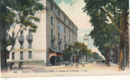 AY 517 /    CPA    TUNISIE-   TUNIS -   TUNISIA  PALACE HOTEL ET AVENUE DE CARTHAGE - Tunesien