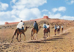 AK 215226 MAROC - Départ Vers Le Sud - Andere & Zonder Classificatie