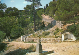 - 11 - GRUISSAN (Aude) - Le Cimetière Marin Près De Notre-Dame Des Auzils - Scan Verso - - Other & Unclassified