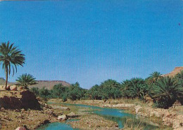 AK 215236 MAROC - La Vallée De Ziz - Other & Unclassified