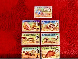 CAYMAN ISLANDS 1974 - 7v Neuf ** MNH Marine Life Shells Conchas Coquillages  Pesce Poisson Fish Pez Fische KAIMAN INSELN - Pesci