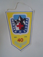 D202175  The Mountain Rescue Service Of The Czech Republic  Czechoslovakia  - FANION -Wimpel - Pennon -   160 X 120 Mm - Sport Invernali