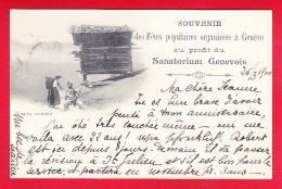 E-Suisse-648P112  Souvenir Des Fêtes Populaires De Genève, Sanatorium Genevois, Chalet Valaisan, Cpa Précurseur 1900  - Sonstige & Ohne Zuordnung