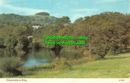 R517984 Chanctonbury Ring. E. T. W. Dennis. Photocolour - World