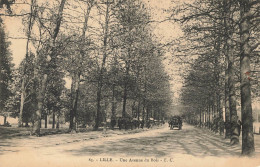 D7979 LILLE Une Avenue Du Bois - Lille