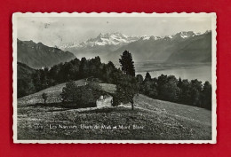 E-Suisse-132P Les Narcisses, Les Dents Du Midi Et Le Mont Blanc, Type Photo - Altri & Non Classificati