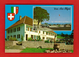 E-Suisse-348P L'hôtel VUE DES ALPES, Propr. E. Römer, Animation, Voitures, BE - Autres & Non Classés