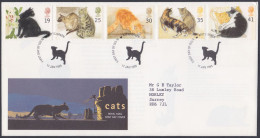 GB Great Britain 1995 FDC Cat, Cats, Feline, Animal, Animals, Pet, Pets, Pictorial Postmark, First Day Cover - Covers & Documents