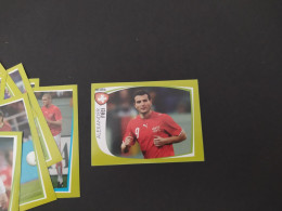 10 Stickers ROAD TO EURO 2008 PANINI - Trading-Karten