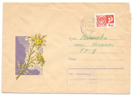 Enveloppe Postal 11.06.1969 Edelweiss - Enteros Postales