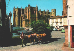 GUARDA - Sé Catedral  ( 2 Scans ) - Guarda