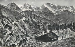 Postcard Switzerland Schynige Platte - Altri & Non Classificati