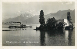 Postcard Switzerland Lac Leman Ile De Salognon - Autres & Non Classés