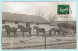 BOUY - Lot 5 CP - Carte Photo : Ferme Hippique , Mairie Et L'Ecole, Ecole Communale Et Les Pelous, Moulin, Eglise - Autres & Non Classés