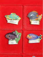 4 Feves Differentes - Poissons - Animaux