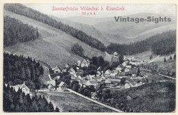 Wildenthal Bei Eibenstock / Erzgebirge: Panorama View (Vintage PC 1910s) - Eibenstock