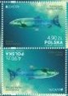 Poland.2024.Europa CEPT.Underwater Fauna And Flora.Common Barbel (barbus Barbus) .Tet - Beshe  ** . - Fishes