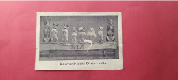 Romania Rumanien Buzau 1939 – 1940 Circ Dresura De Catei Circus Dog / Puppies Souvenir De La Dna Lucia Autograf - Rumania