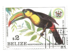 (BELIZE) 1981, INDEPENDENCE COMMEMORATION, KEEL BILLED TOUCAN, RAMPHASTOS SULFURATOS - Used Stamp - Belice (1973-...)