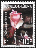 Nouvelle Calédonie 2011 - Yvert Et Tellier Nr. 1126 - Michel Nr. 1556 ** - Ungebraucht