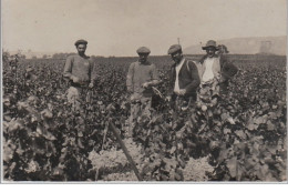 OLONZAC : Carte Photo D' Agriculteurs Vaporisant Un Produit Sur Les Vignes Vers 1910 - Très Bon état - Other & Unclassified