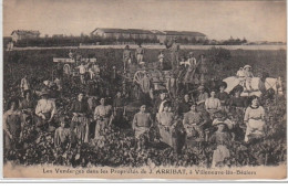 VILLENEUVE LES BEZIERS : Les Vendanges Dans Les Propriétés De J. Arribat - Très Bon état - Other & Unclassified