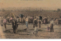 Les Vendanges Dans Le Haut-Bergeracois Vers 1910 - Bon état (traces Au Dos) - Autres & Non Classés