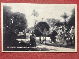 Cartolina Coloniale - Tripoli - Il Cammino Verso L'Oasi - 1920 Ca. - Altri & Non Classificati