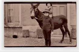 Carte Photo (enfants Et âne)- Très Bon état - Ajaccio