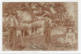 JAUSIER : Carte Photo De Jeunes Bergers En 1903 - Bon état (un Coin Plié) - Autres & Non Classés